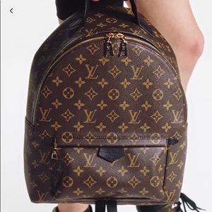 Louis Vuitton Palm Springs MM Bag